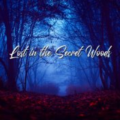 Lost in the Secret Woods: Cinematic Celtic Ambient for Destination Spa