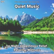 #01 Quiet Music for Night Sleep, Stress Relief, Relaxing, Wellness