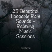 25 Beautiful Loopable Rain Sounds - Relaxing Music Sessions