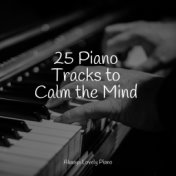 25 Piano Tracks to Calm the Mind
