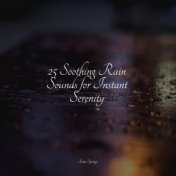 25 Soothing Rain Sounds for Instant Serenity