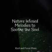 Nature Infused Melodies to Soothe the Soul