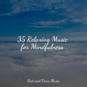 35 Relaxing Music for Mindfulness