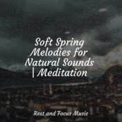 Soft Spring Melodies for Natural Sounds | Meditation