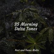 35 Morning Delta Tones