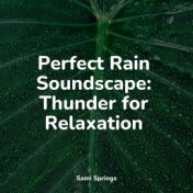 Perfect Rain Soundscape: Thunder for Relaxation