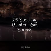 25 Soothing Winter Rain Sounds