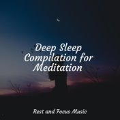 Deep Sleep Compilation for Meditation