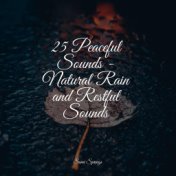 25 Peaceful Sounds - Natural Rain and Restful Sounds