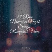 25 Rain November Night Songs: Rainforest Vibes