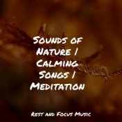 Sounds of Nature | Calming Songs | Meditation