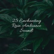 25 Enchanting Rain Ambiance Sounds