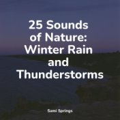 25 Sounds of Nature: Winter Rain and Thunderstorms