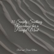 35 Simply Soothing Recordings for a Peaceful Mind