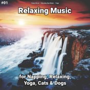 #01 Relaxing Music for Napping, Relaxing, Yoga, Cats & Dogs