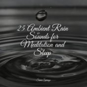 25 Ambient Rain Sounds for Meditation and Sleep