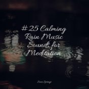 #25 Calming Rain Music Sounds for Meditation