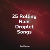 25 Rolling Rain Droplet Songs
