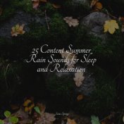 25 Content Summer Rain Sounds for Sleep and Relaxation