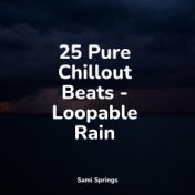 25 Pure Chillout Beats - Loopable Rain