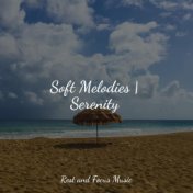 Soft Melodies | Serenity