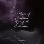 25 Best of Ambient Rainfall Collection