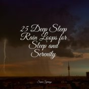 25 Deep Sleep Rain Loops for Sleep and Serenity