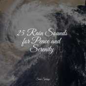 25 Rain Sounds for Peace and Serenity