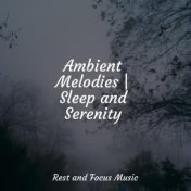 Ambient Melodies | Sleep and Serenity