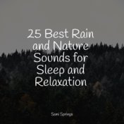 25 Best Rain and Nature Sounds for Sleep and Relaxation