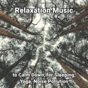 #01 Relaxation Music to Calm Down, for Sleeping, Yoga, Noise Pollution