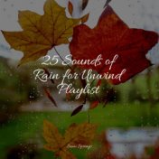 25 Sounds of Rain for Unwind Playlist