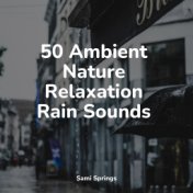 50 Ambient Nature Relaxation Rain Sounds