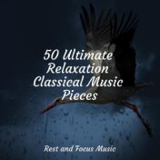 50 Ultimate Relaxation Classical Music Pieces