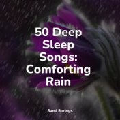 50 Deep Sleep Songs: Comforting Rain