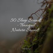 50 Sleep Sounds - Tranquil Nature Sounds