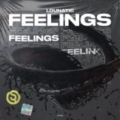 Feelings