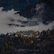 50 Ultimate Relaxation Melodies for Mind Relaxation