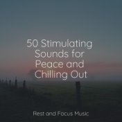 50 Stimulating Sounds for Peace and Chilling Out