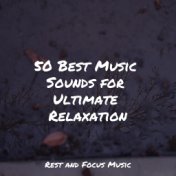 50 Best Music Sounds for Ultimate Relaxation