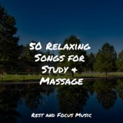 50 Relaxing Songs for Study & Massage