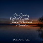 The Calming Ambient Sounds | Instant Peace and Meditation