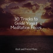 30 February: Meditation, Spa Music Collection