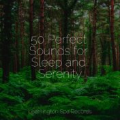 50 Perfect Sounds for Sleep and Serenity