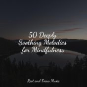 50 Deeply Soothing Melodies for Mindfulness