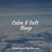 Calm & Soft Sleep
