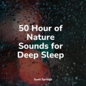 50 Hour of Nature Sounds for Deep Sleep