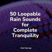50 Loopable Rain Sounds for Complete Tranquility