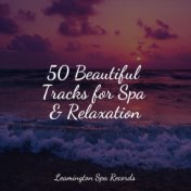 50 Beautiful Tracks for Spa & Relaxation