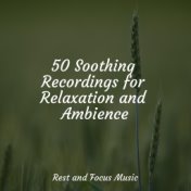 50 Soothing Recordings for Relaxation and Ambience